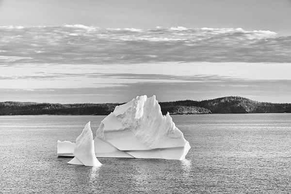 Canada-Newfoundland-Eastport Icebergs floating in Salvage Bay of Atlantic Ocean